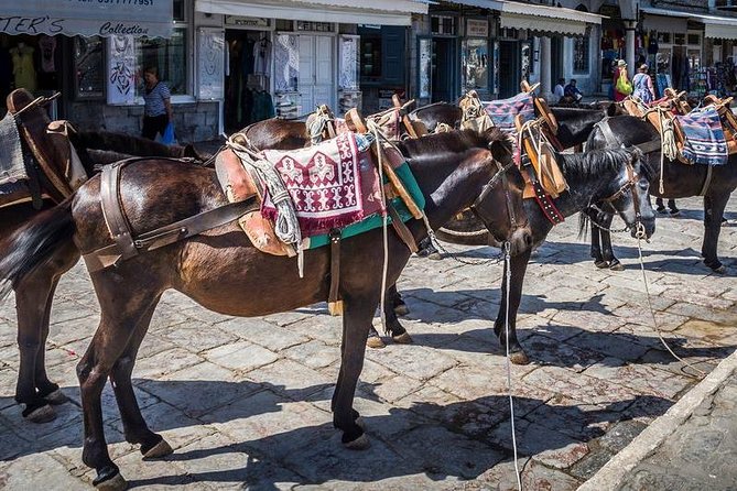 One Day Cruise to Hydra, Poros and Aegina from Athens - On board: lunch, live folk music, and what the “boat day” actually means