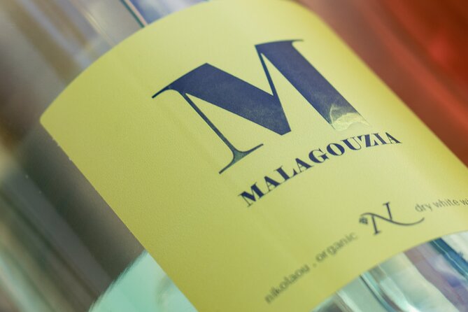 Organic and Vegan Indigenous Wine Tasting Private Experience - Finding the Right Door: Somm Wine Store in Athens
