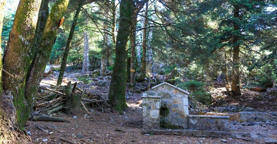 Parnitha (Parnis) / Skipiza & Mola loop - Hike near Athens - Why Parnis is a smart, low-stress Athens escape