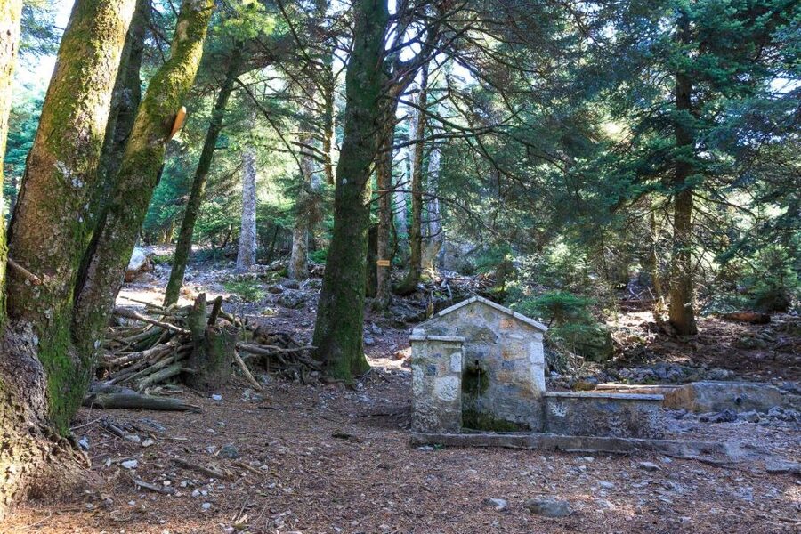 Parnitha (Parnis) / Skipiza & Mola loop - Hike near Athens - First stop: Mpafi hut and the walk that eases you in