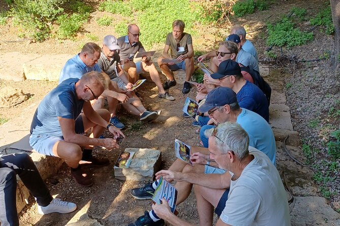 Philosophy Experience at Plato's Academy Park - basic version - The short walk to the ancient gymnasium ruins