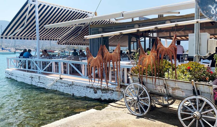 Poros Island: Full Day Trip From Athens with Swimming - Love Bay: Swimming in Pine Shade With Deep Blue Water