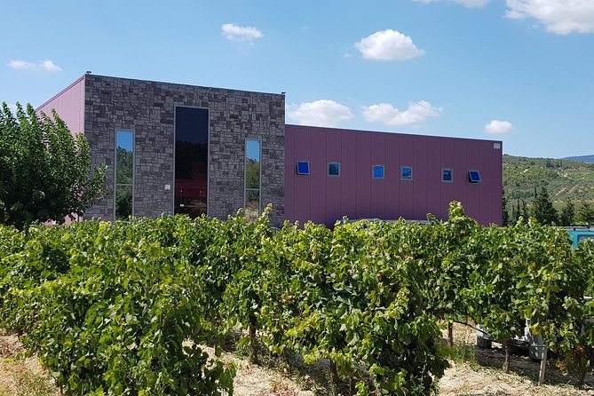 Premium Nemea Wine Tour from Athens, Nafplio or Nemea, with Oenologists - Stop 1: Estate Constantin Gofas and the 4-wine opening