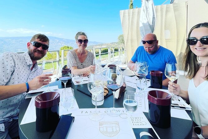 Premium Nemea Wine Tour from Athens, Nafplio or Nemea, with Oenologists - The oenologist guide: why this tour feels different