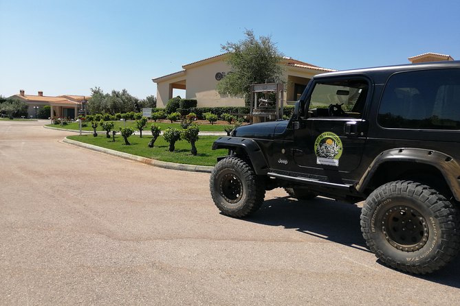 Private 4x4 Wine Tour from Athens to Marathon Lake and a Winery - The tasting: 2 wines and 1 vinegar, and how to get more out of it