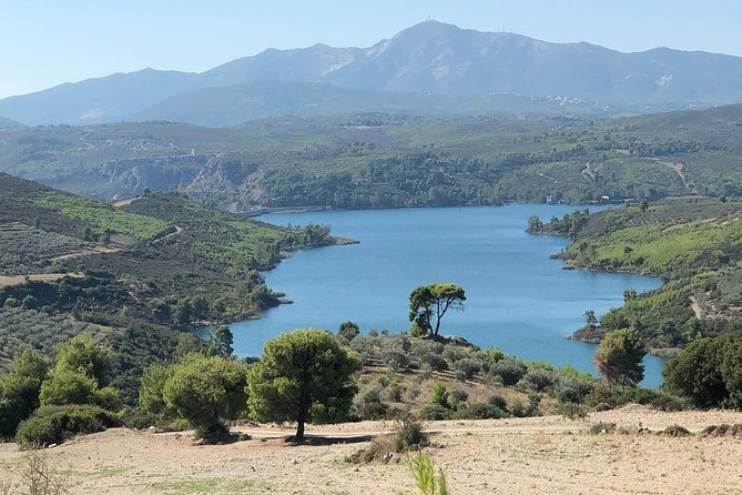 Private 4x4 Wine Tour from Athens to Marathon Lake and a Winery - Domaine Costa Lazaridi: your wine museum stop with real production focus