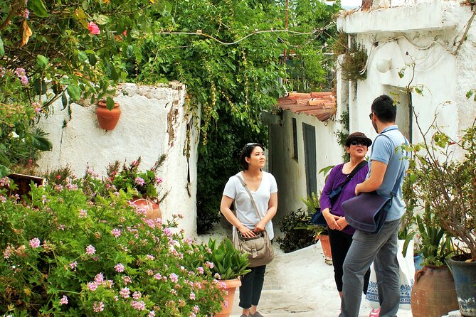 Private Athens Orientation Tour - Syntagma Square at 9:00 am: the day starts with direction