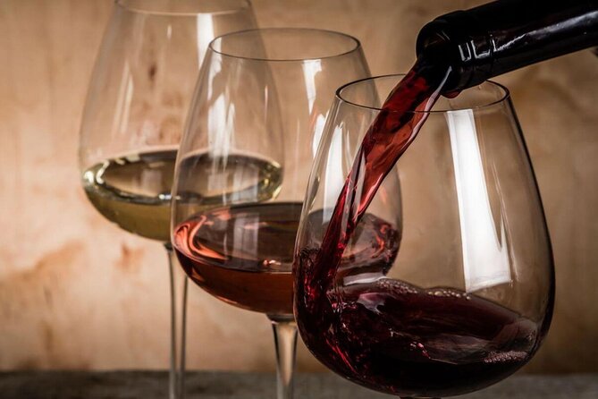 Private Athens Wine Tasting (with a Personal Licensed Wine Guide) - The guides: licensed expertise you can talk to