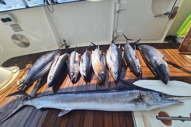 Private Boat and Fishing Tours in Greek Islands - Price and Value: What $3,470.45 Per Group Means in Real Life