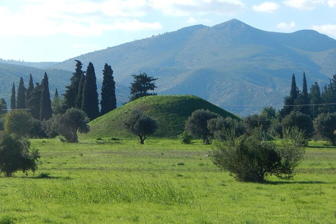 Private Day Trip to Marathon-Thermopylae - Your Mercedes Van Experience: Comfort Plus Clear Driver Limits