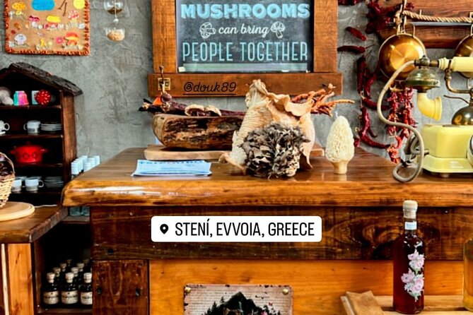 Private Daytrip for Truffle Mushroom Foraging and Wine Tasting - Stop 1: MANITAROPOLIO and Dirfis Mushroom Foraging in Central Evia