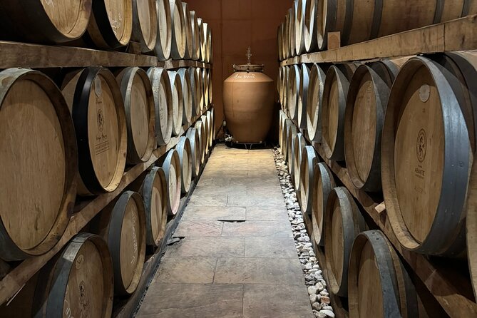 Private Daytrip for Truffle Mushroom Foraging and Wine Tasting - Lunch After the Hunt: Mushroom Recipes You’ll Remember