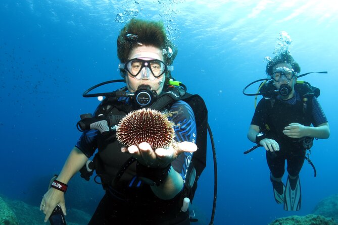 Private Discover Scuba Diving for Beginners in Athens with Pickup - Price and Value: Is $203.70 Worth It?