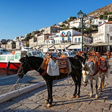 Private Excursion to Hydra Island - 5 hours on Hydra: using your time without wasting it