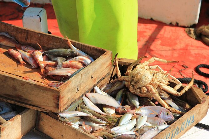 Private Fishing Trip in a Traditional Boat from Athens - Rafina Port at 5:00 pm: the smart timing for a true fishing outing