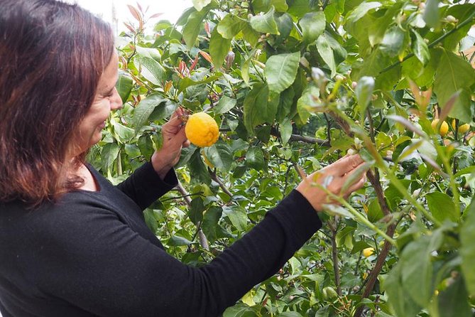 Private Greek Cooking Class in Athens-Learn to Cook with Angelina - Who Should Book This Private Greek Cooking Class?