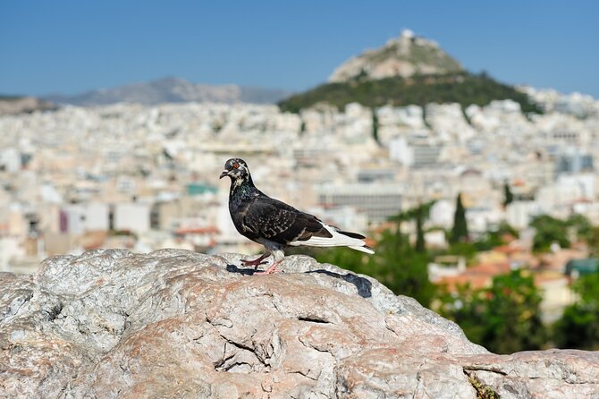 Private Luxury Biblical Tour: Apostle Paul in Athens & Corinth - Ancient Agora of Athens: Where Paul Met Civic Life