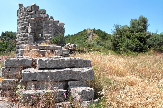 Private Luxury Tour: Ancient Messene – Glory of the Peloponnese - Ancient Messini (Ancient Messene): Walking a Whole City, Not Just Ruins