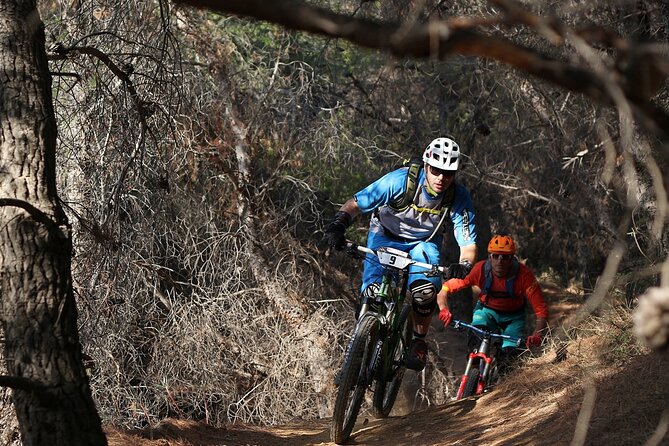 Private Mountain Bike,Trail Ride Tour of Mount Ymittos, Athens. - Your 3-Hour Flow: From Pickup to Trail Loops and Back