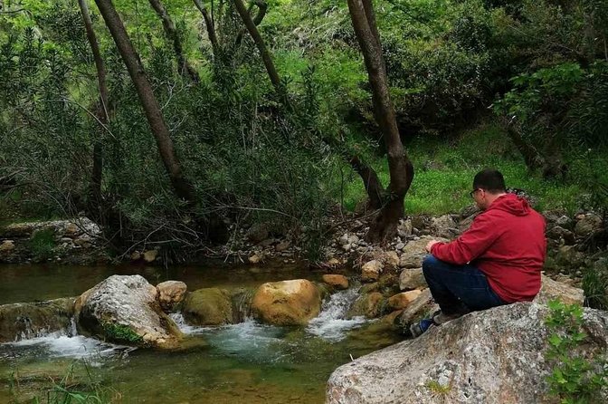 Private Off-Road Tour Marathon Lake and Mountain from Athens - The 4x4 Transport Itself: More Than Just Getting There