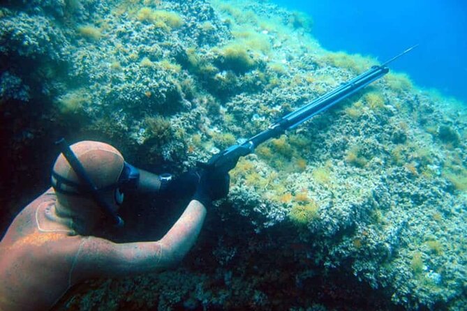 Private Spearfishing Trip From Athens - Safety Briefing With an Experienced Spearfish Hunter