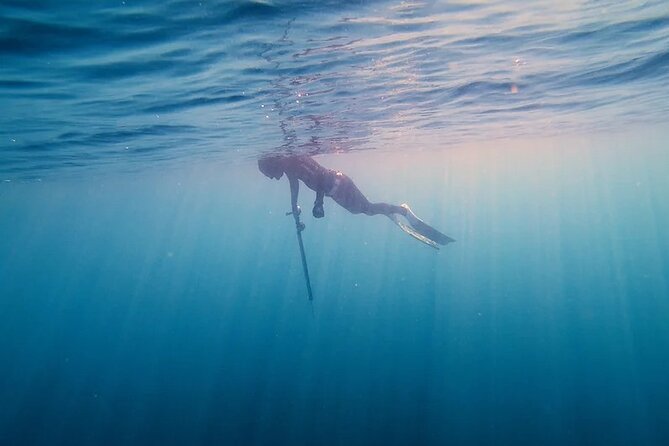 Private Spearfishing Trip From Athens - Two Hours of Guided Spearfishing for Local Species and Habitats