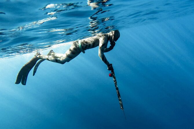 Private Spearfishing Trip From Athens - Before You Go In: Empty Stomach Rules and Gear Setup