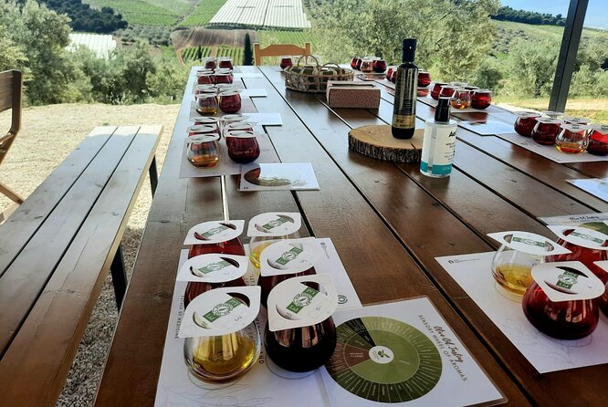 Private tour in Nafplio with Olive oil Tasting Tour in Corinth - Acrocorinth fortress: the 570-meter view and the layered walls