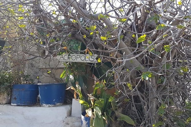 Private walking tour- Enjoy a Sunset Tour in Plaka - Monastiraki finish: an easy glide toward the old University corridor