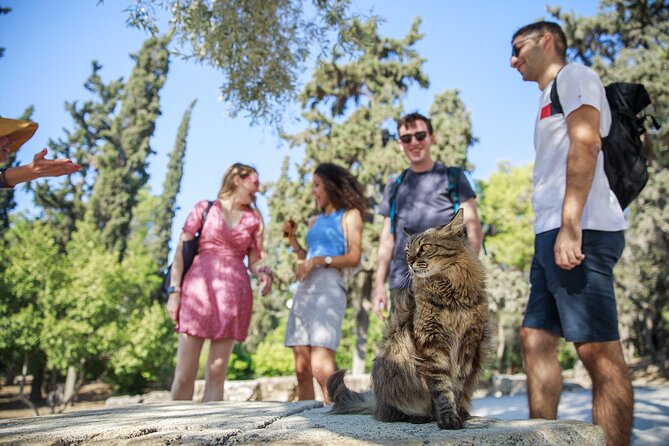 Private Walking Tour The Acropolis - Should You Book This Private Acropolis Walking Tour?