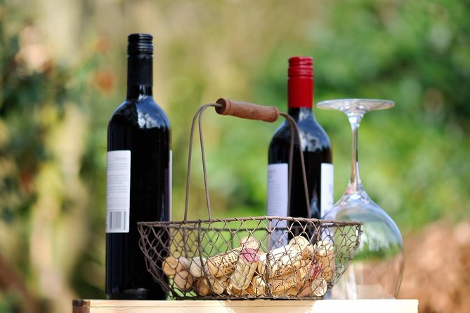 Private Wine Tasting Experience of Greek Awarded Wines at Athens Wine Suburb - The coast drive and the Temple of Poseidon option