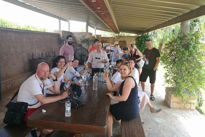 Private Wine Tasting Experience of Greek Awarded Wines at Athens Wine Suburb - Who this Athens wine tasting suits best