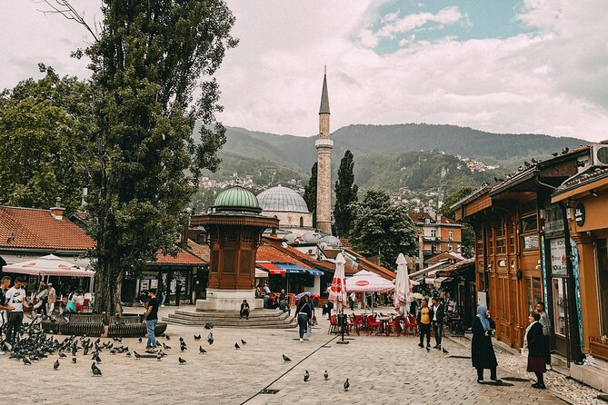 Small Group Tour: 7 Balkan Countries Athens to Dubrovnik / Split - Athens pick-up and Delphi’s myth-to-museum effect