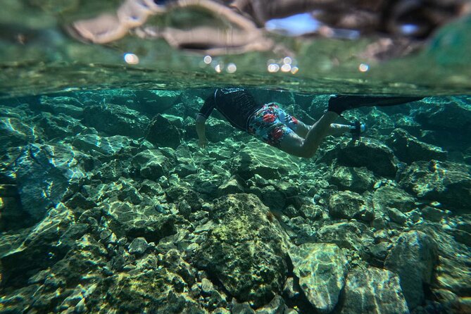 Snorkeling Adventure in Athens - Guides, Fish Spotting, and the Octopus Moment