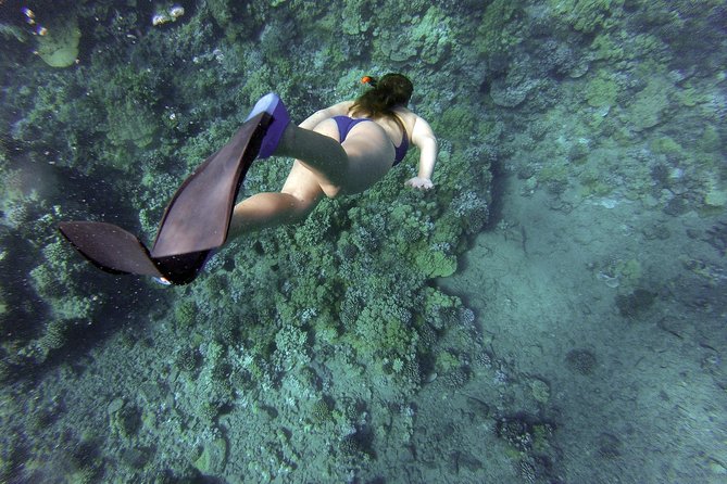 Snorkeling Fun Adventure in Athenian Riviera - Your guides matter: driver George and mentor Vasilis