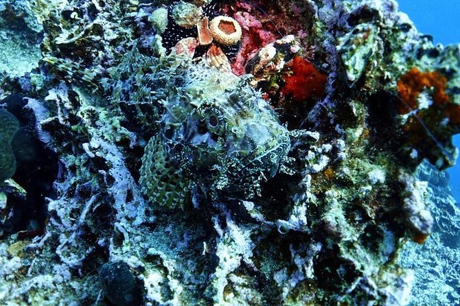 Snorkeling Fun Adventure in Athenian Riviera - Packing and timing tips for a smooth 9:30 am start