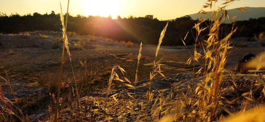 Sunrise Yoga & Meditation Acropolis & 360 view - After the Session: Turning Calm Into a Great Day