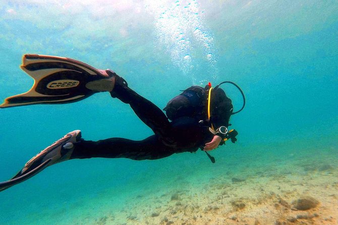 Try scuba dive - The On-Land Part: paperwork, theory, and underwater hand signals