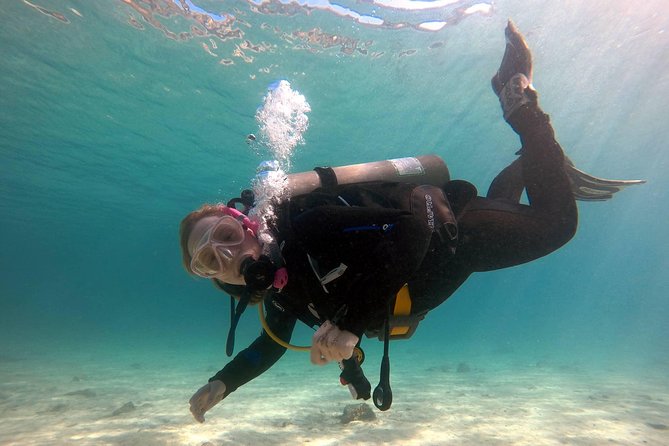 Try scuba dive - Price and value: is $97.74 worth your first scuba try?