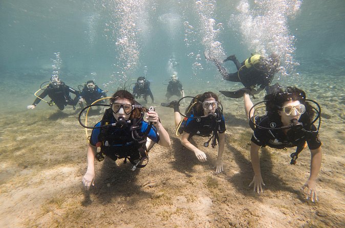 Try Scuba Diving in Athens - Underwater Tour Near Vouliagmeni: What You’ll Likely See