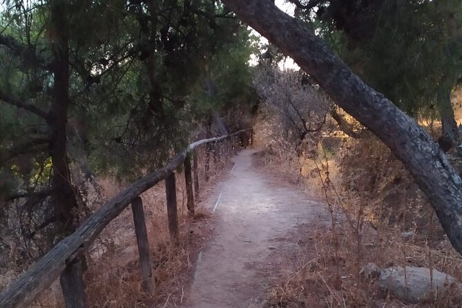 Ultimate Athens Sunrise Hike! - The summit moment: 360° Athens views and possible flag-raising