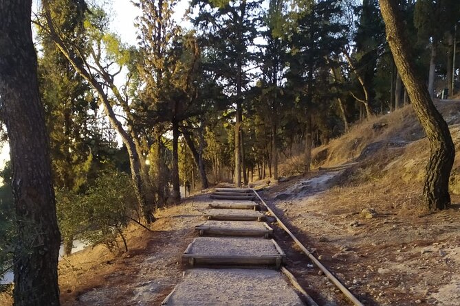 Ultimate Athens Sunrise Hike! - Who should book this sunrise hike (and who should pass)