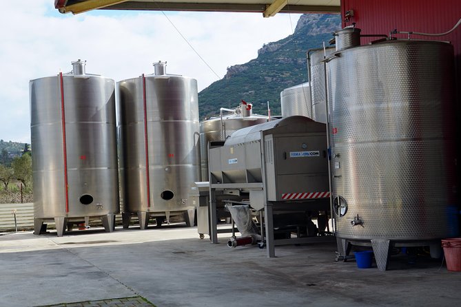 Wine Roads Private Day Tour: Corinth - Ancient Nemea & Wine Tasting - Corinth Canal and the ride back along the Peloponnese coast