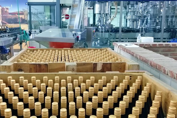 Wine Trails Private Tour/ Nemea visit 3 wineries from Athens or Nafplion (10 h) - A smooth Athens-to-Nemea day built around wine and views