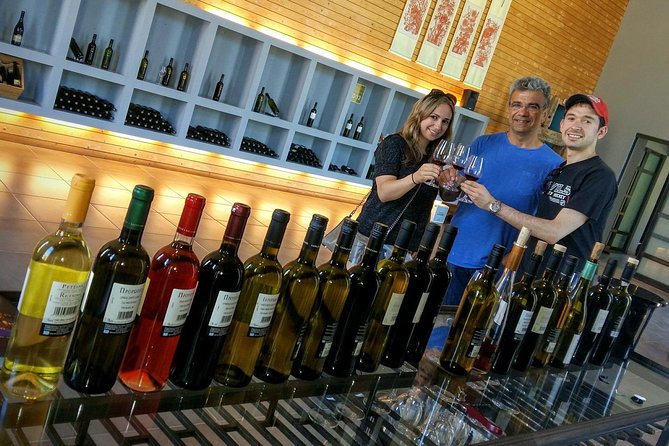 Wine Trails Private Tour/ Nemea visit 3 wineries from Athens or Nafplion (10 h) - Price and value: what you’re paying for (and what you’re not)
